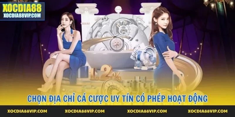 Chọn địa chỉ cá cược uy tín có phép hoạt động