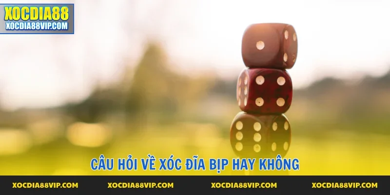Đặt nghi vấn về xóc đĩa bịp hay không
