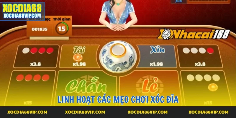 Dùng các kiểu chơi theo dạng linh hoạt