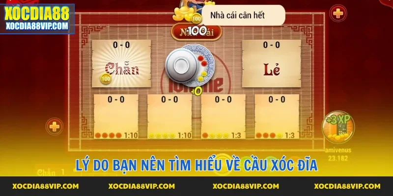 Lợi ích tuyệt vời mà cầu xóc đĩa mang đến cho bạn