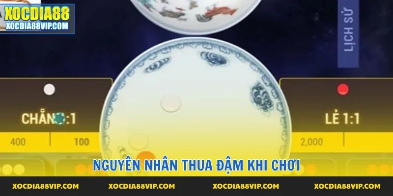 Nguyên nhân thua đậm khi cược xóc đĩa