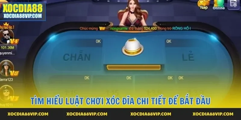 Tìm hiểu luật chơi xóc đĩa chi tiết để bắt đầu