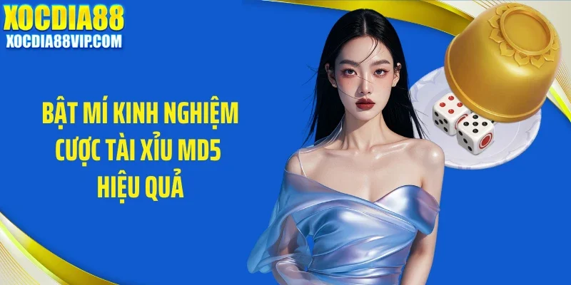 Bật mí kinh nghiệm cược tài xỉu MD5 hiệu quả
