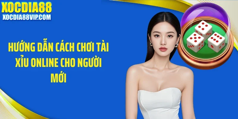 Hướng dẫn cách chơi tài xỉu online cho người mới