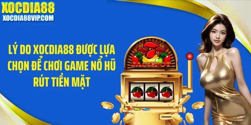 ly do xocdia88 duoc lua chon de choi game no hu rut tien mat Lý do Xocdia88 được lựa chọn để chơi game nổ hũ rút tiền mặt