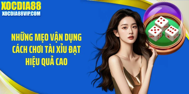Những mẹo vận dụng cách chơi tài xỉu đạt hiệu quả cao