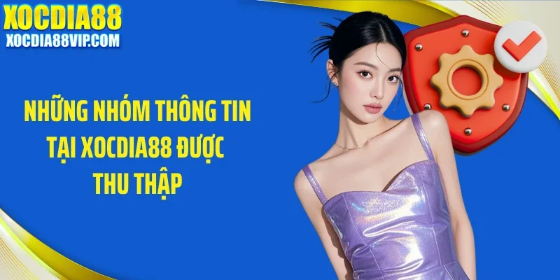 Những nhóm thông tin tại Xocdia88 được thu thập